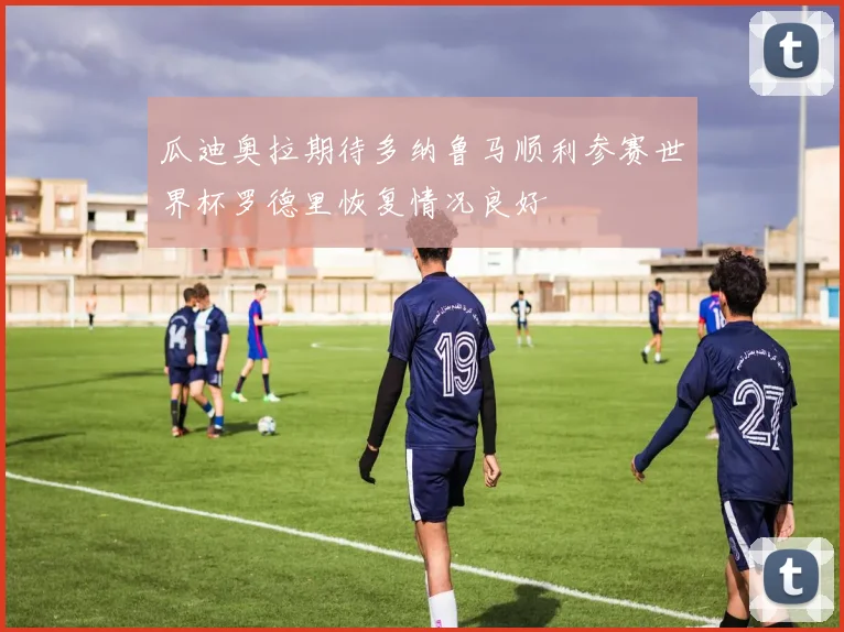 瓜迪奥拉期待多纳鲁马顺利参赛世界杯罗德里恢复情况良好