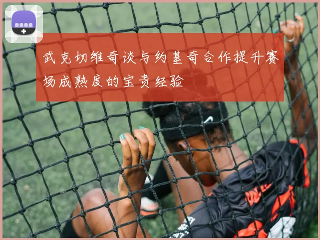 武克切维奇谈与约基奇合作提升赛场成熟度的宝贵经验