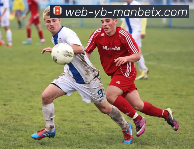 山东泰山考虑引进阿尔瓦罗经纪人报价130万欧元待最终决策